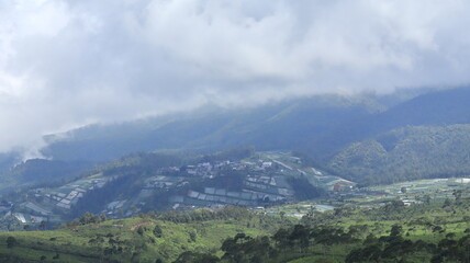 Obraz premium A beautiful village in the hills surrounded by tea plantations in the Kemuning tourist area, Karunganyar, Central Java, Indonesia, with a backdrop of high mountains.