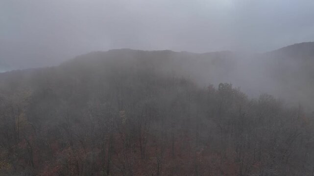 Fog rolling over forested hills and a small green field in Castelletto Val Tolla, Emilia Romagna, painting a mysterious and tranquil winter scene with a thick blanket of haze