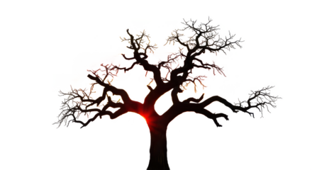 Tree with no leaves and branches is silhouetted against a white background. isolated illustration transparent background