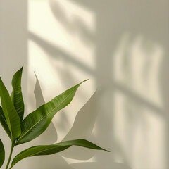 Eco Friendly Sustainable Lifestyle