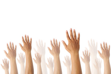 Obraz premium Diverse hands raised high on white background. Ideal for human rights, unity, voting, and teamwork concepts. High-resolution isolated stock photo for designs