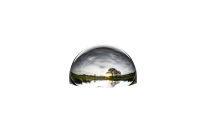 Large glass sphere with a tree in the middle of it. isolated illustration transparent background