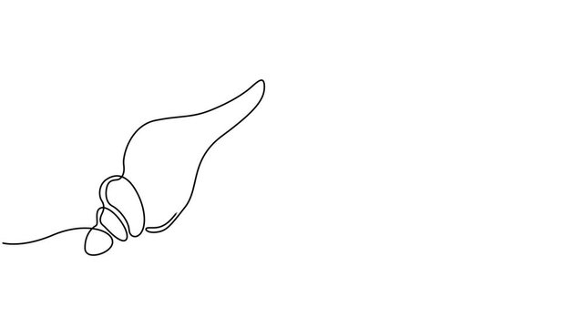 Self animated continuous single-line drawing of a conch snail shell. One line art conch snail shell icon. Full length one line animation, Seashell, artistic online animation in the form of a single.