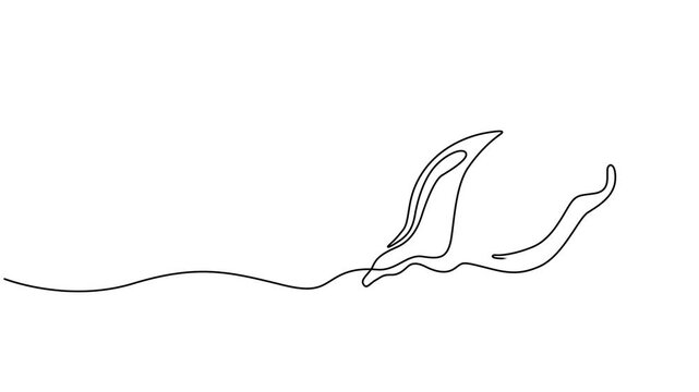 Self animated continuous single-line drawing of a conch snail shell. One line art conch snail shell icon. Full length one line animation, Seashell, artistic online animation in the form of a single.