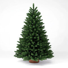 Elegant Undecorated Christmas Tree Isolated on White Background