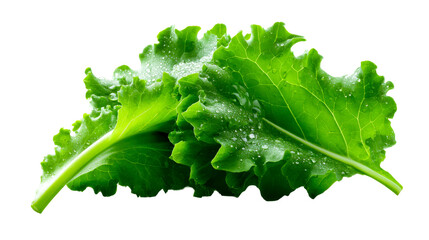Vibrant green fresh leafy vegetables covered in sparkling water droplets representing healthy organic eating and natural produce for various culinary applications