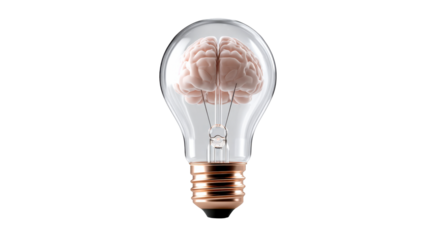 Illuminate your understanding of human intelligence and innovative thinking with this symbolic visual representing creative solutions and profound knowledge for scientific and educational
