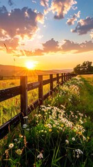 Warm sunset shines over a field, lighting up wildflowers beside a wooden fence in the countryside