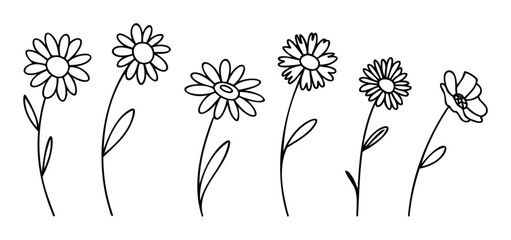 Delightful collection of outlined doodle style daisies featuring various shapes and stems ideal for nature inspired graphics and floral compositions for a fresh look