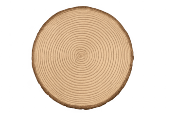 Wood slice showing annual growth rings on transparent background