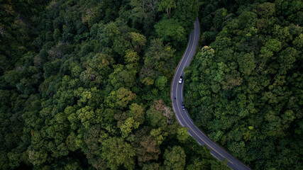 aerial view of a winding asphalt road cutting through dense green forest. Scenic mountain roadway surrounded by lush tropical trees, ideal for travel, transportation, nature, adventure, sustainability