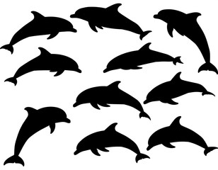 Obraz premium Black dolphin silhouettes on a white background, in various poses