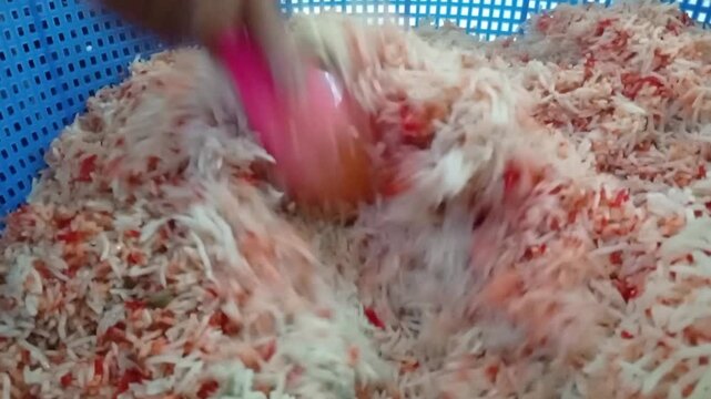cooking rice mandhi on bowl