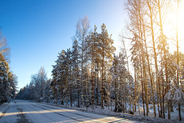 Snow road in the forest in winter day