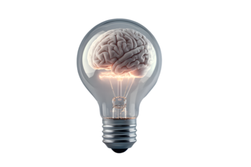 a light bulb with a brain inside of it