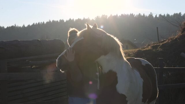 Young woman affectionately cuddling her Haflinger mix pinto mare outdoors, showing trust, friendship and calm bond