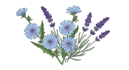 Red clover flower with green leaves, botanical illustration