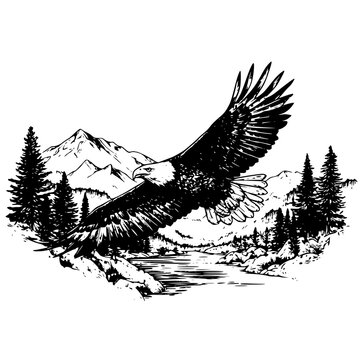 Bald Eagle Soaring Over Mountain River Valley Line Art