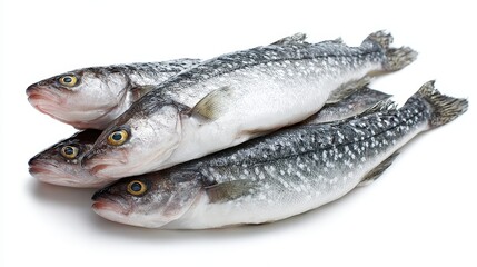 Fototapeta premium Four fresh, raw, silver sea bass are stacked on a white background. Use to display fresh seafood for restaurants and food publications.