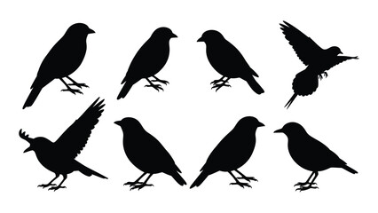 Obraz premium A collection of black silhouette bird images depicting various poses and flight