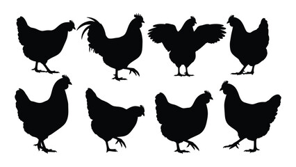 A collection of black silhouette farm chickens and roosters in various poses © BIPUL