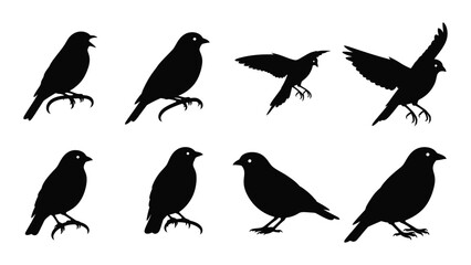A collection of black bird silhouettes showcasing various poses and flight stages