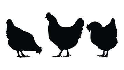 Fototapeta premium A simple black silhouette illustration of four chickens in a row