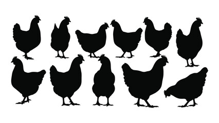 A collection of black silhouette chickens standing together in a row © BIPUL