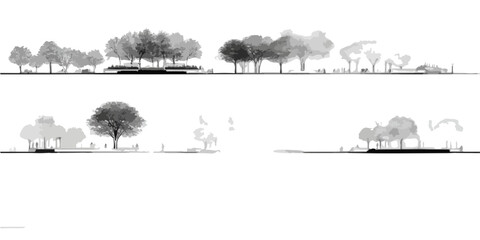 다양한 나무와 작은 사람들이 묘사된 흑백 건축 투시도, 도시 공원 디자인