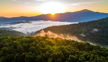 Aerial view of a mountain range at dawn, with lush green forests and a sea of clouds illuminated by the golden sunrise