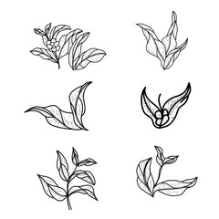 set of coffee leaves elements