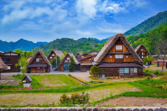Historical Japanese Village or Shirakawago (ogimachi village) in Gifu Prefecture Chubu Region1995 was registered as a World Cultural Heritage Site together with Gokayama, travel landmark of Japan