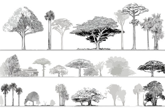 Vielfalt von Baumzeichnungen in verschiedenen Stilen und Gr&ouml;&szlig;en, isoliert auf transparentem Hintergrund