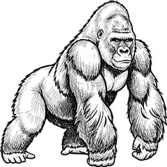 Naklejka premium Powerful silverback gorilla standing in a bold detailed black and white sketch style