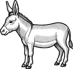 Black and white sketch of a donkey standing in profile with detailed hatching texture