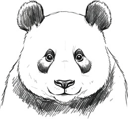 Detailed black and white pencil sketch portrait of a giant panda bear face