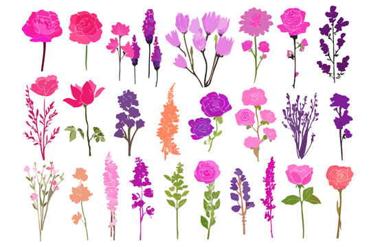 Colecci&oacute;n de flores bot&aacute;nicas de acuarela en tonos rosados y morados sobre fondo blanco, dise&ntilde;o transparente.