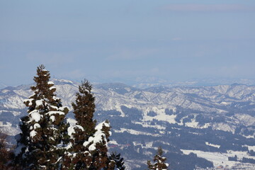 Snow-covered trees and snow-capped mountains