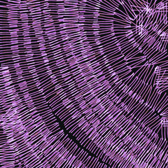 Obraz premium abstract purple background