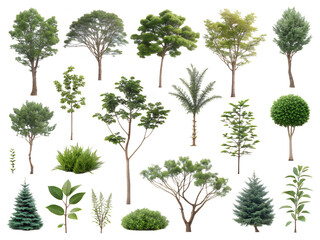 Collection of Isolated Green Trees and Plants on White Background