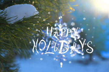 Happy Holidays text.  Amazing nature background. Frozen pine trees close up. New Year decorations....