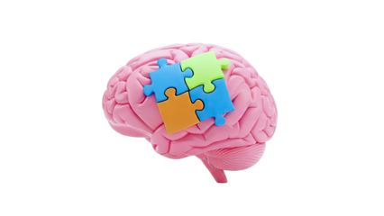 Brain with Puzzle Pieces: Concept of Problem Solving