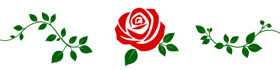 Elegant red rose flower with green leaves and decorative vine elements isolated on a white background representing romance love beauty and botanical design.