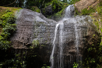 Water from a stream falls over rocks to form a small waterfall in the interior of an Atlantic Forest in Brazil