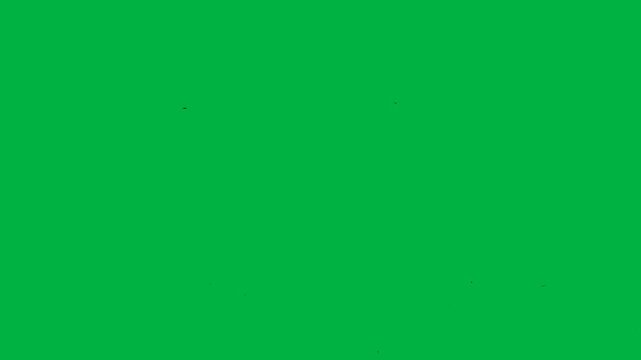 animation of silhouette break and scatter around from top to bottom in green screen background