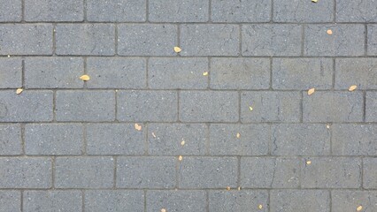 Gray concrete tile floor. The road surface is dark grey with fallen leaves and flowers. Sidewalk, footpath, walkway, surface material. Texture and background images.
