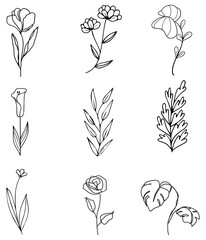 Set of minimalist black line art botanical illustrations featuring various flowers and delicate leaves.