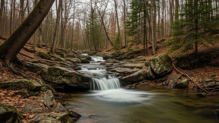 Obraz premium Tranquil forest stream tumbles over natural rock formations amidst an autumnal woodland scene