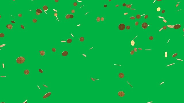 many falling coin animation isolated on green screen background