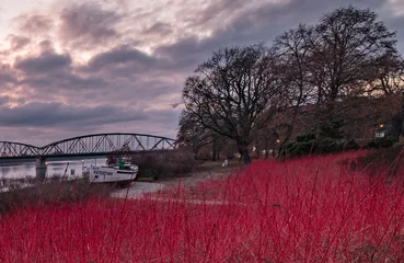 Fototapete Bordeaux sundown, woda, niebo, krajobraz, rzeka  © Krzysztof  Jaworski
